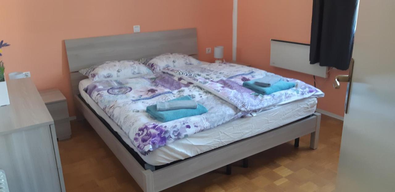 Terme Catez - Sonce Villa Catez ob Savi Luaran gambar